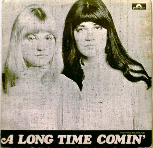 The Chicks : A Long Time Comin' (LP, Album)