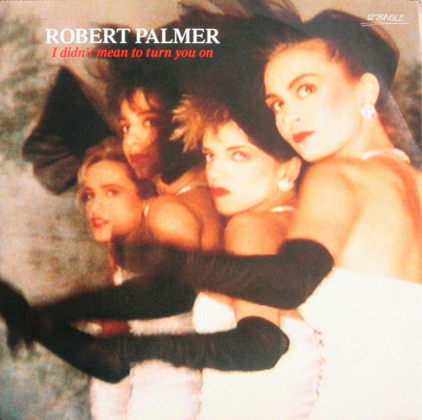 Robert Palmer : I Didn't Mean To Turn You On (12", Single, Ltd)