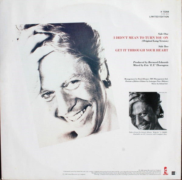 Robert Palmer : I Didn't Mean To Turn You On (12", Single, Ltd)