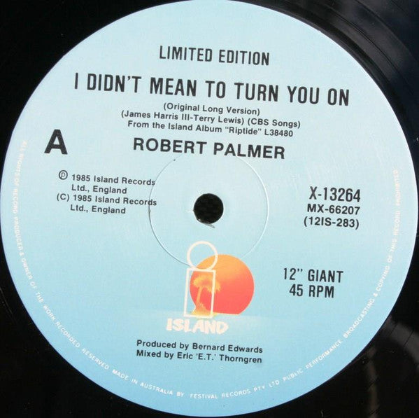 Robert Palmer : I Didn't Mean To Turn You On (12", Single, Ltd)