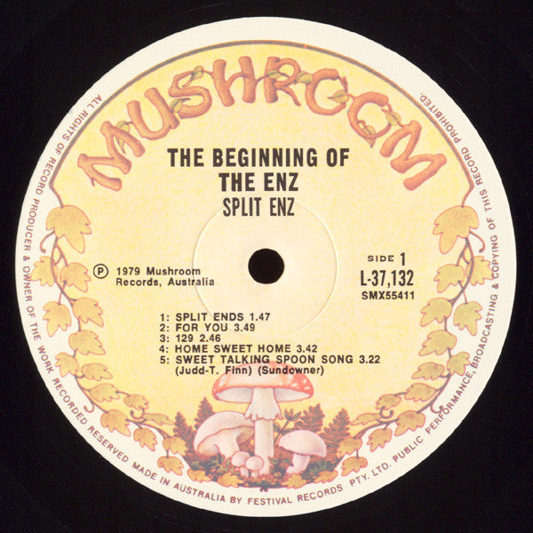 Split Enz : The Beginning Of The Enz (LP, Comp)