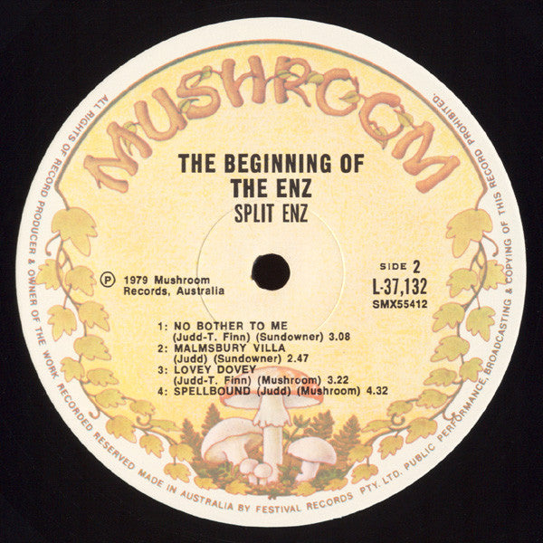 Split Enz : The Beginning Of The Enz (LP, Comp)