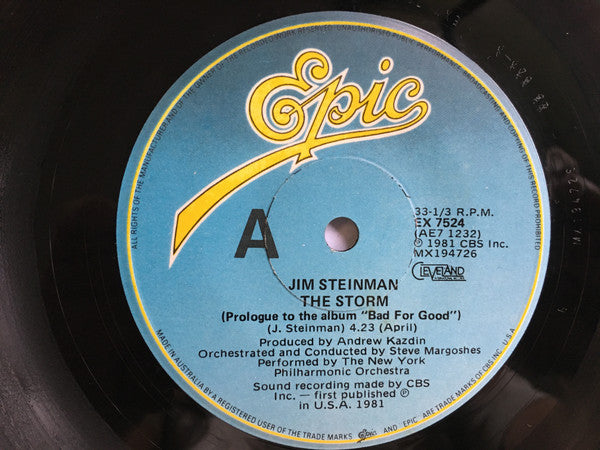 Jim Steinman : The Storm / Rock And Roll Dreams Come Through (7", Single)