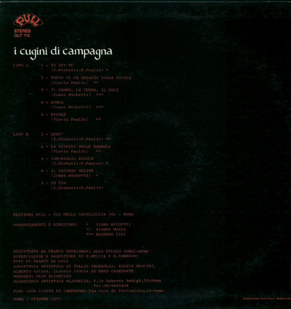 I Cugini Di Campagna : Tu Sei Tu (LP, Album)