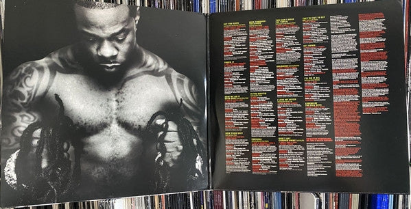 Busta Rhymes : The Big Bang (2xLP, Album, Gat)