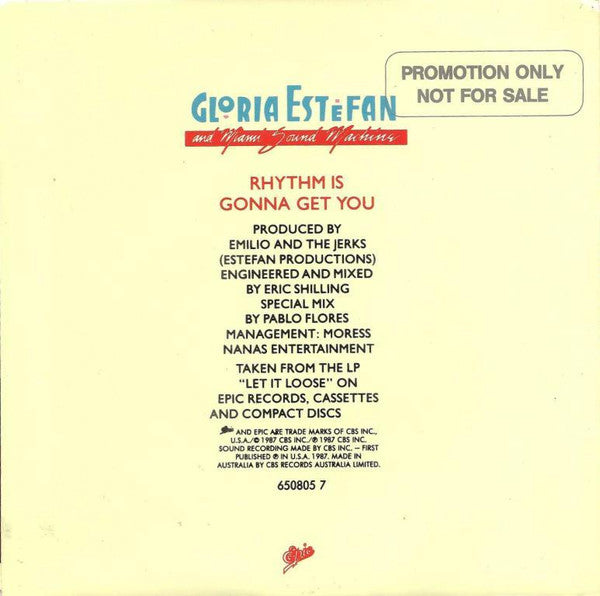 Miami Sound Machine : Rhythm Is Gonna Get You (7", Single)