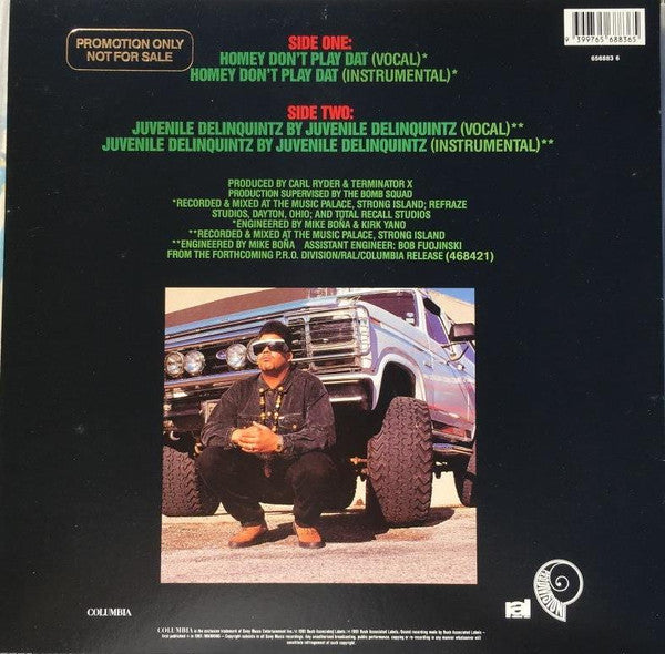 Terminator X : Homey Don't Play Dat (12", Single)