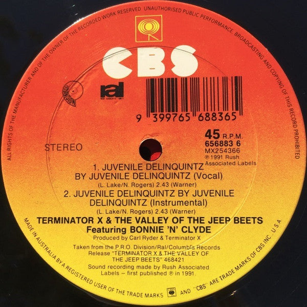 Terminator X : Homey Don't Play Dat (12", Single)