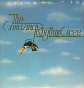 The Amazing Rhythm Aces : Toucan Do It Too (LP)