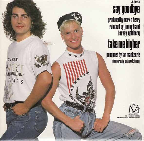 Indecent Obsession : Say Goodbye (7", Single)