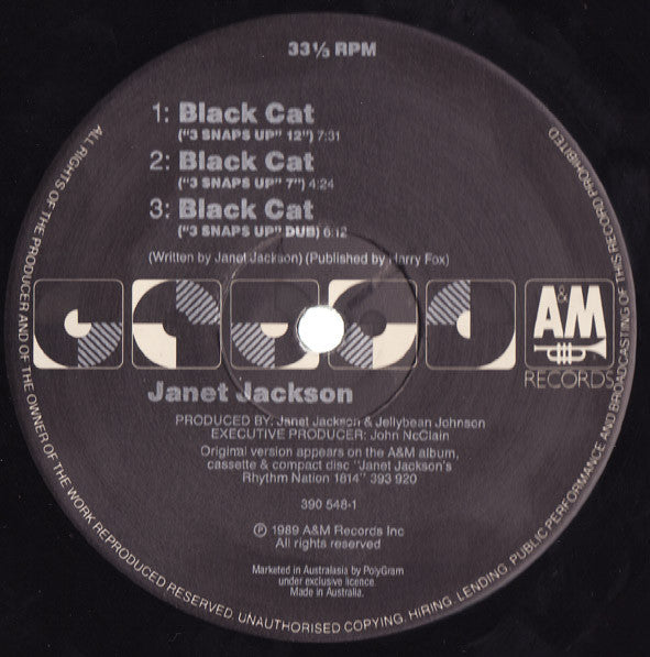 Janet Jackson : Black Cat (12", Single)