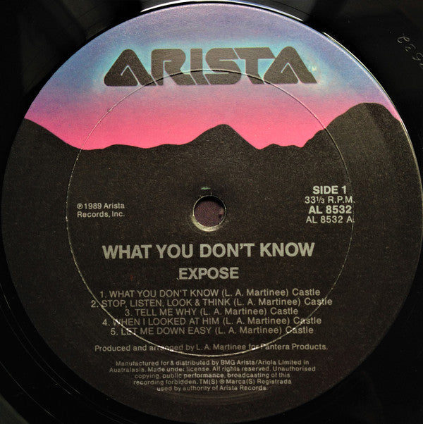 Exposé : What You Don't Know (LP, Album)