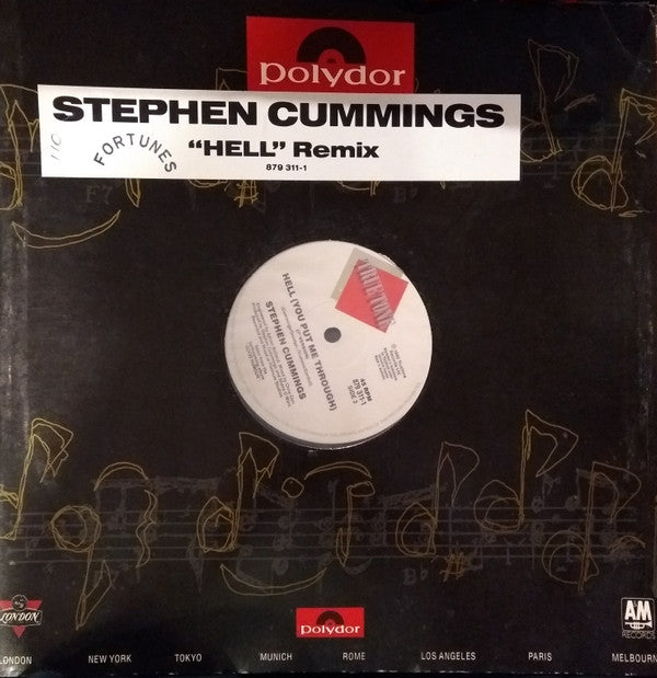 Stephen Cummings : Hell (You've Put Me Through) (12", Single)