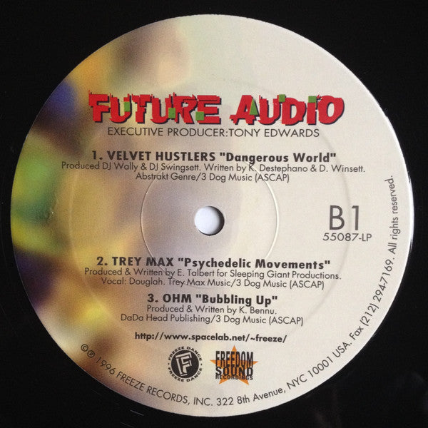 Various : Future Audio (2xLP, Comp)