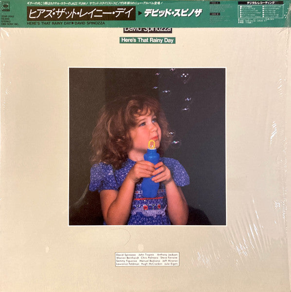 David Spinozza : Here&#39;s That Rainy Day (LP, Album)