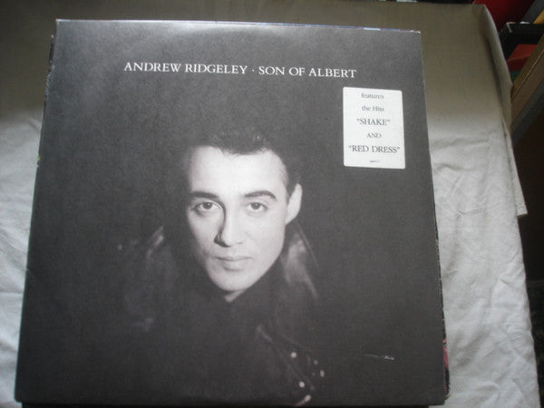 Andrew Ridgeley : Son Of Albert (LP, Album)