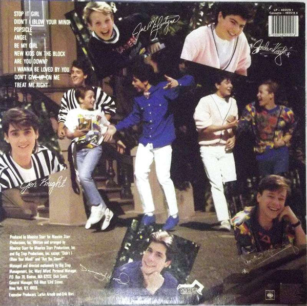 New Kids On The Block : New Kids On The Block (LP, Album)
