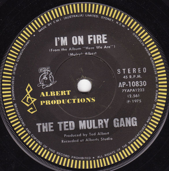 The Ted Mulry Gang* : Jump In My Car (7", Single)