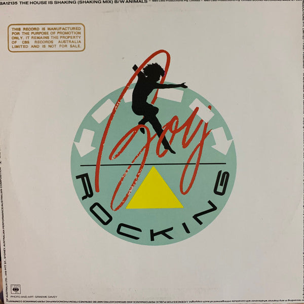 Boy Rocking : The House Is Shaking (12", Single, Promo)