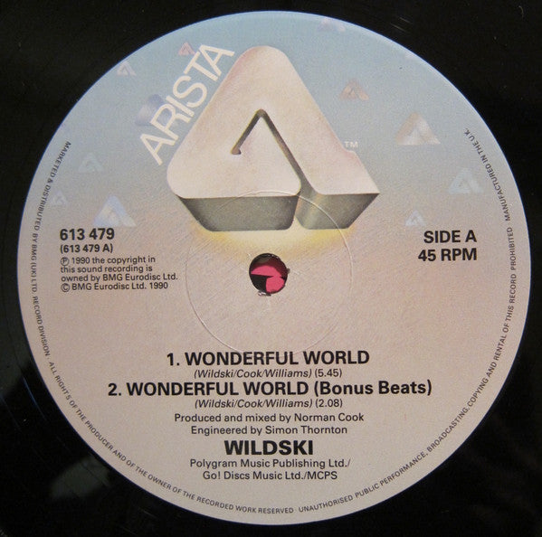 MC Wildski : Wonderful World (12")