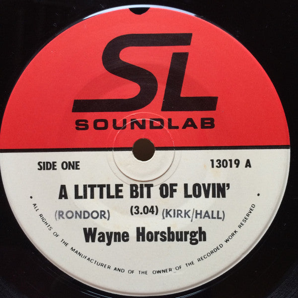 Wayne Horsburgh : A Little Bit Of Lovin' (7", Single)