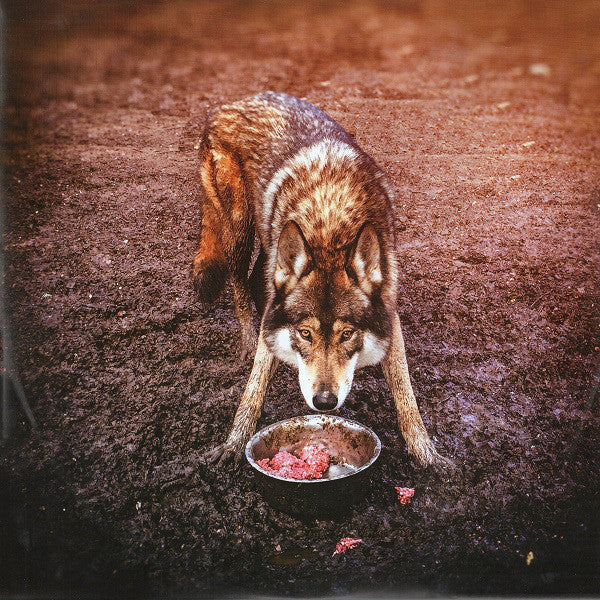 Rag'n'Bone Man : Wolves (12", EP, RE)